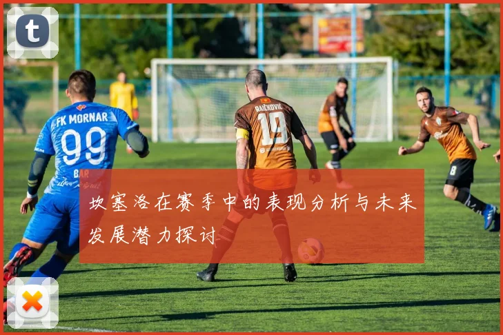 坎塞洛在赛季中的表现分析与未来发展潜力探讨