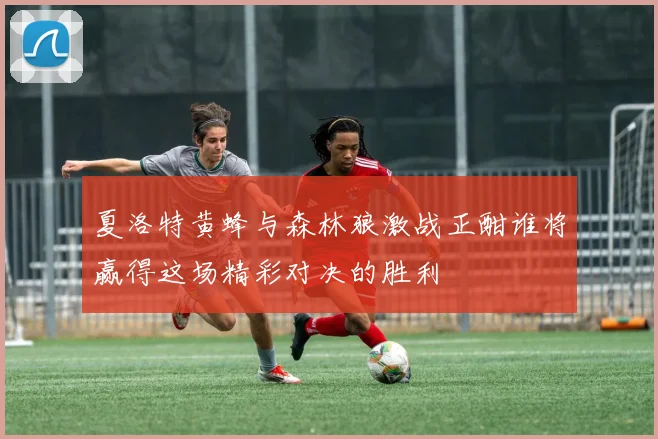 夏洛特黄蜂与森林狼激战正酣谁将赢得这场精彩对决的胜利
